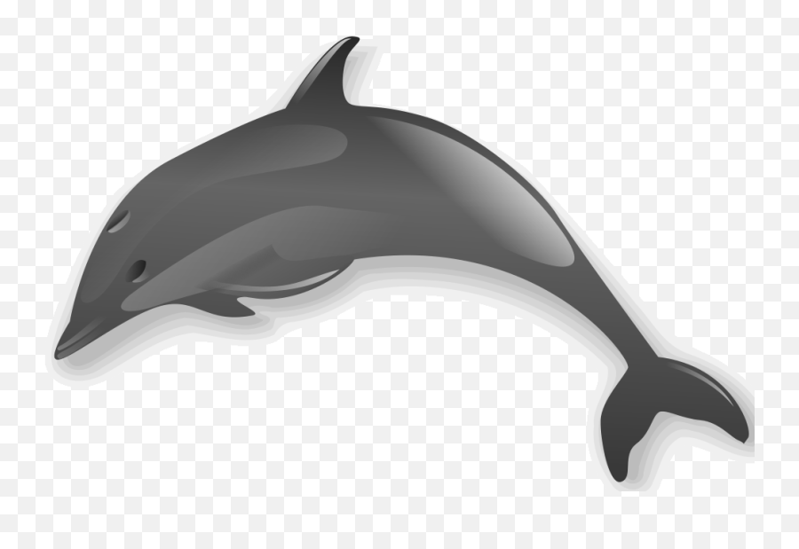 Dolphins Clipart Flipper Dolphins - Clipart Dolphin Jumping Transparent Emoji,3 Dolphin Emoji