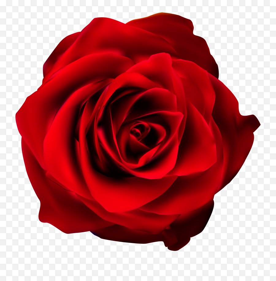 Free Red Rose Transparent Background - Transparent Background Red Rose Clipart Emoji,Red Rose Emoji