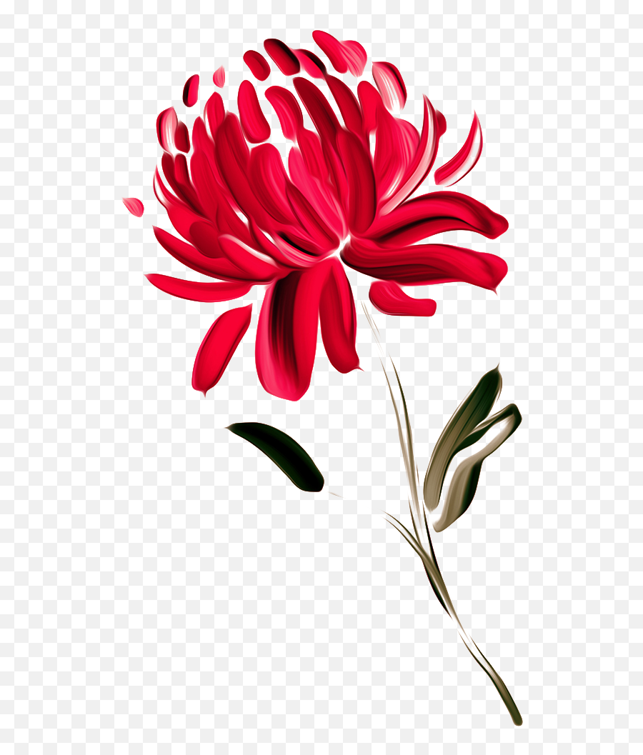 Waratah - Painted Chrysanthemum Emoji,Chrysanthemum Emoji