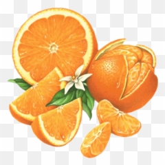 Rainpebble Reads In 2014 - Fruit Illustrations Emoji,Ursula O’farrell – Emotion In Motion