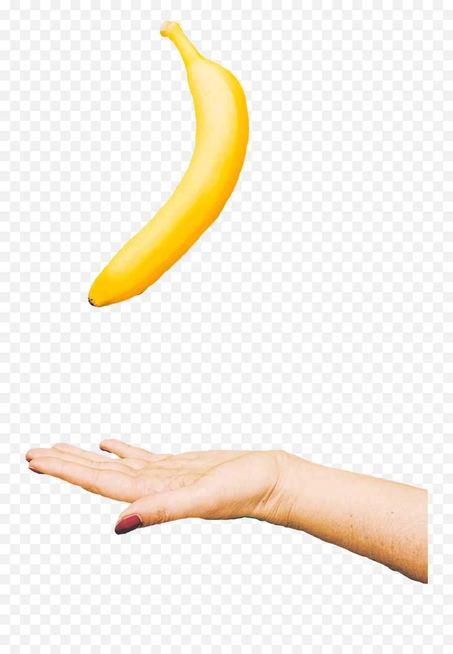 Banana Yellow Fruit Eat Sticker By Jeremiah Murrill - Ripe Banana Emoji,Emojis Eating Banana