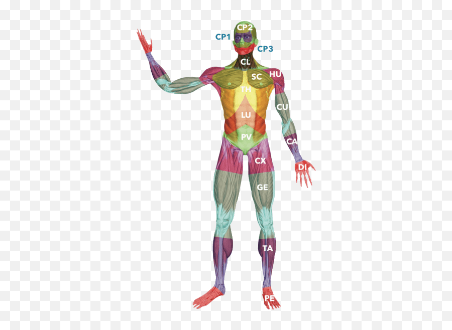 Appalachian Physical Therapy - Fictional Character Emoji,Yur Emotions Dictate Your Results Appalachian Physical Therapy - Fictional Character Emoji,Yur Emotions Dictate Your Results