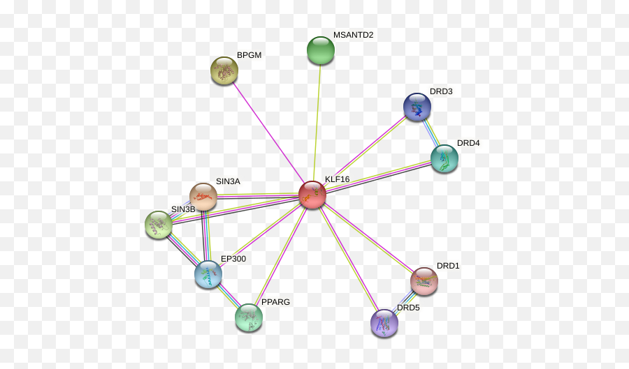 Klf16 Protein Human - String Interaction Network Dot Emoji,Emotion Wheel Asd