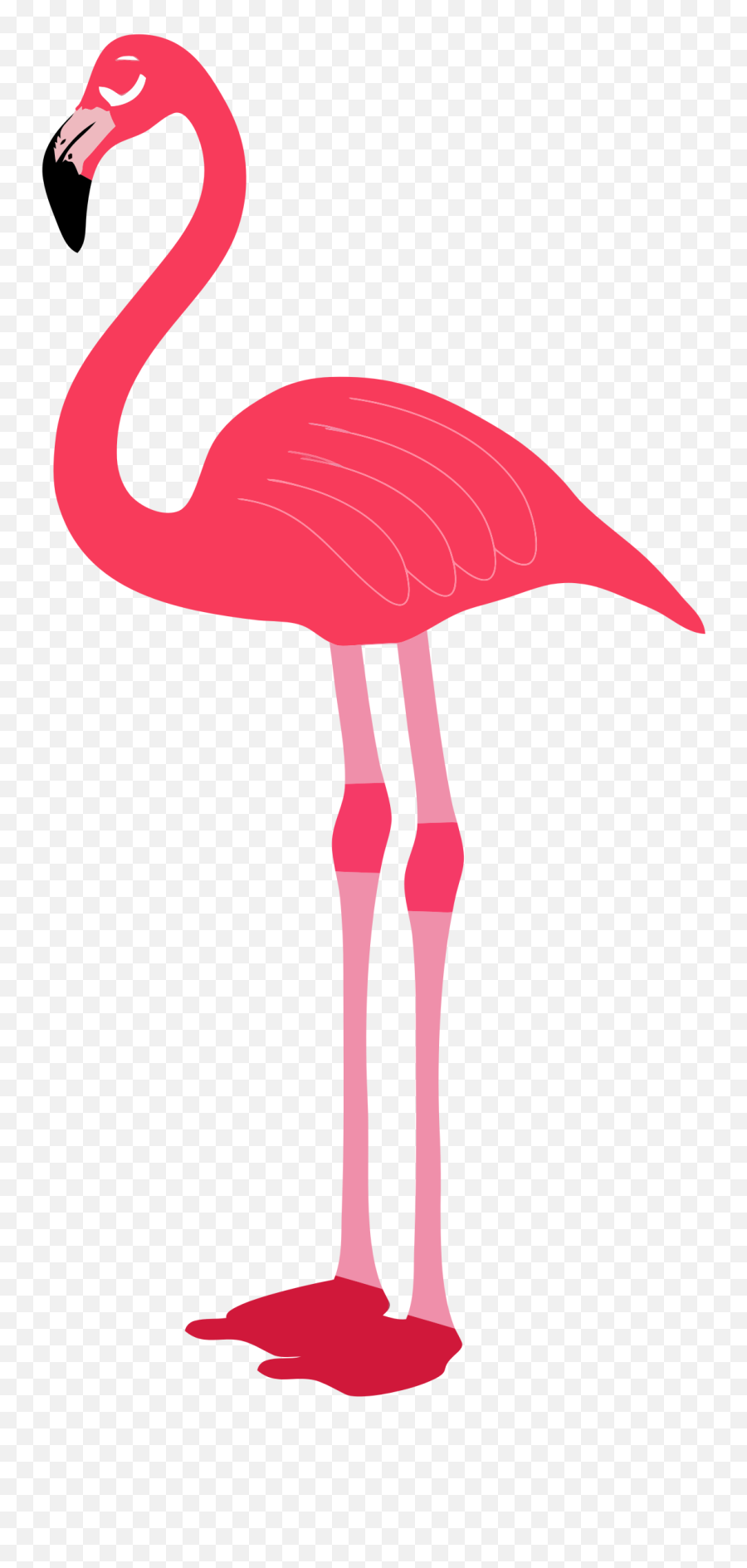 Clipart Flamingo - Flamingo Png Transparent Emoji,Flamongo Emoji