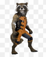 Raccoon Transparent Png - Life Size Rocket Raccoon Emoji,Raccoon Emoji Icon