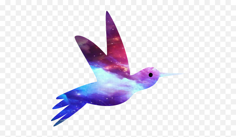 The Most Edited Colibri Picsart - Flying Bird Shape Emoji,Ddong Chim Emoji