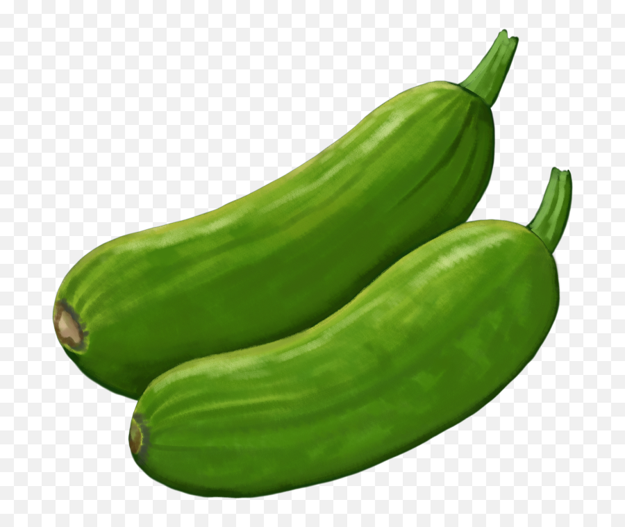 Plants Emoji,Meaning Of Cucumber Emoji
