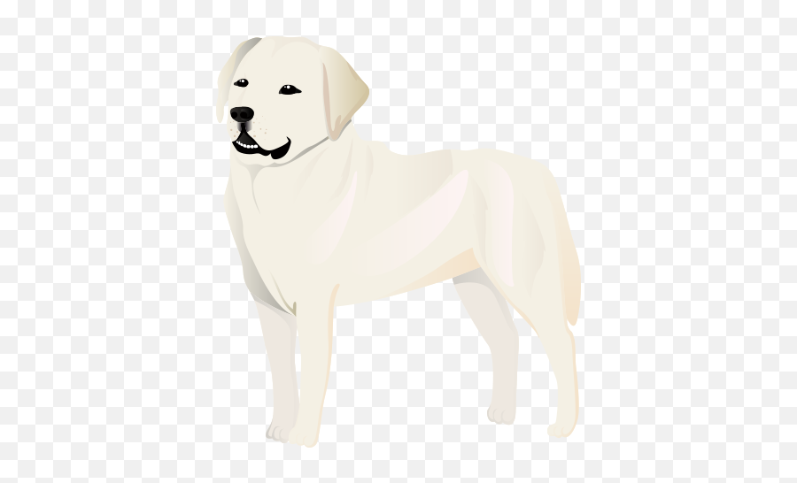 Hanodu Polafe By Dingguo Liu - Northern Breed Group Emoji,Bernese Mountain Dog Emoji