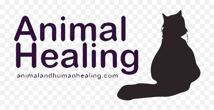 Animal And Human Healer In Essex And The Uk - Call Log Emoji,Human Emotions On Animals