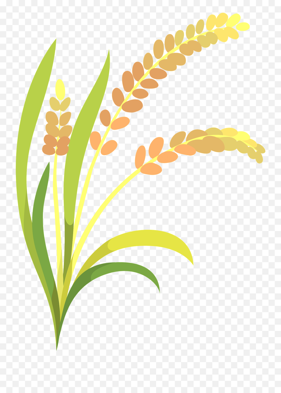 Ear Of Rice Clipart - Clipart Rice Plant Png Emoji,Ear Of Rice Emoji