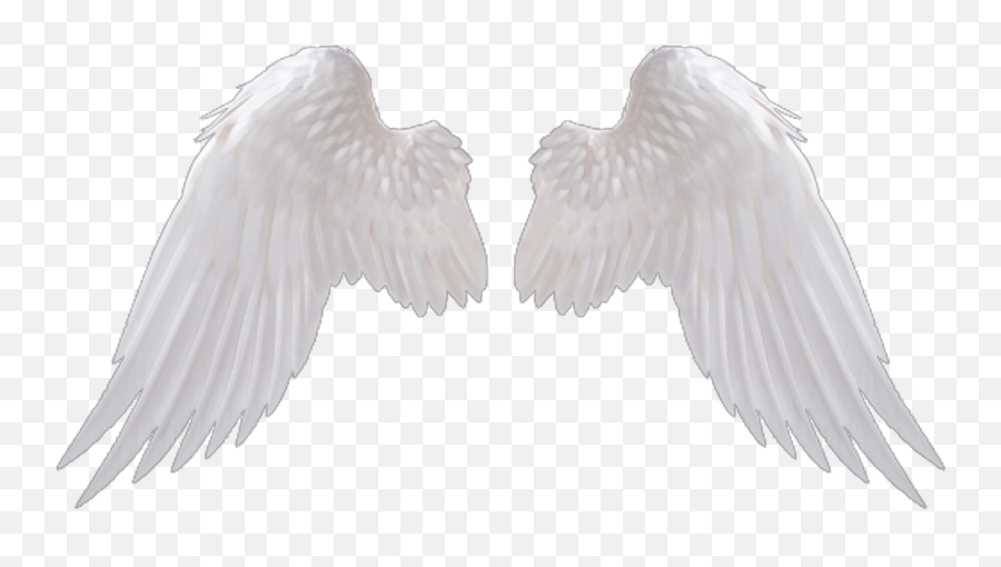 20 Fantastic Ideas Transparent Angel Wings Drawing Png - Angel Wings No Background Emoji,Black Angel Emoji