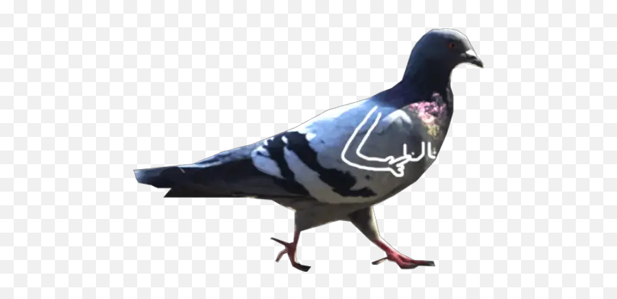 Dove With Hands Stickers For Whatsapp - Homing Pigeon Emoji,Dove Emojis