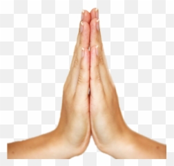 Namaskaar Scdaisy Sticker By Shreeeam Adhikari - Namaskar Sticker Emoji,How To Type Out Namaskar Hands Emoticon