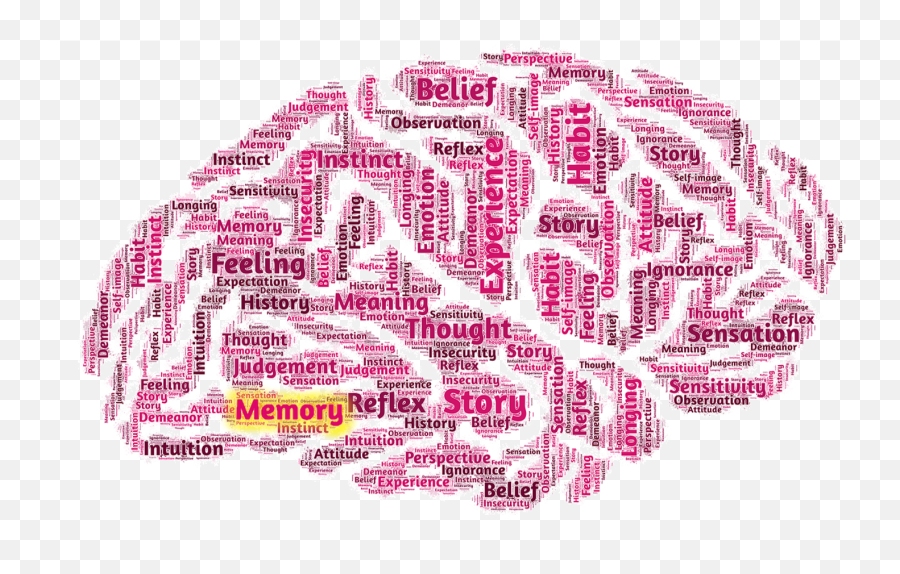 Memory Expansion An Answer For - Anthropology Sociology Psychology Emoji,Emotion Memory