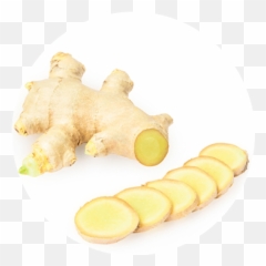 Gummy Vitamin Recipe For Probiotic Gummy Bears Wellgood - Galangal Emoji,Gummy Bear Emoji