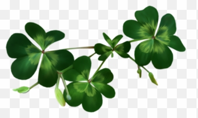 7 - Shamrocks Png Transparent Emoji,Shamrocks Emotions