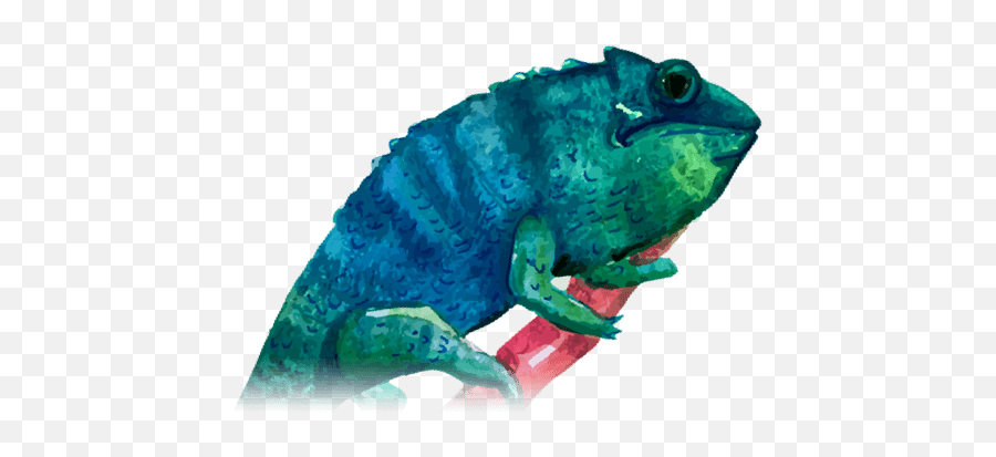 Color And Mood Combination Wordpress Theme - Common Chameleon Emoji,Chameleons Color Emotions