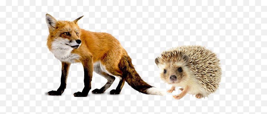The Paradox Of Societal Polarization We Are All Hedgefoxes - Fox Png Transparent Emoji,Systemless Emoji The Paradox Of Societal Polarization We Are All Hedgefoxes - Fox Png Transparent Emoji,Systemless Emoji