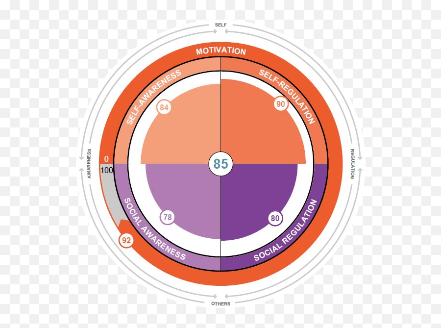 Insight Assessments For Success - Bostonhcp Emotional Intelligence Emoji,Emotions Continuum