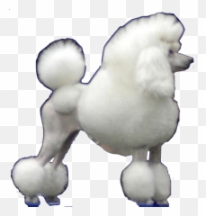 Soft Emoji,No Show Poodle Emoticon