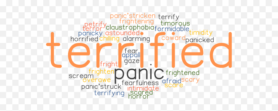 Another Word For Not Terrified