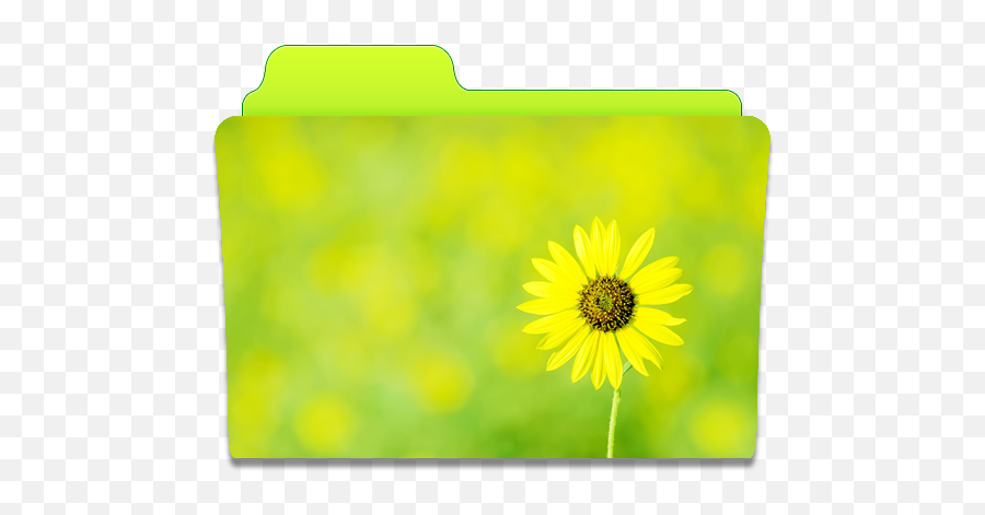 Folder Sunflower Icon Cute Folders Iconset Anabella Falivene - Flower Folder Icon For Pc Emoji,Sun Flower Emoji