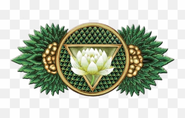Crestone Freedom Project Adolecent Youth Substance Abuse Emoji,Emotion Bruce Lipton