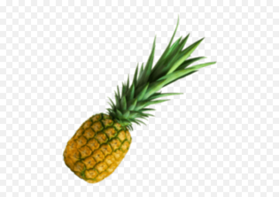 Lirra Tobacco Emoji,Qfc Punch Emoji