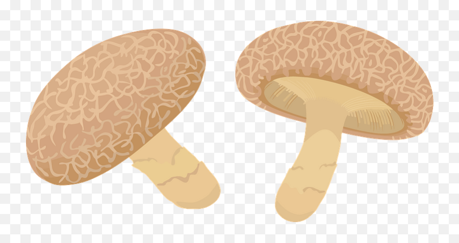 Shiitake Mushroom Clipart Free Download Transparent Png - Shiitake Mushroom Cartoon Transparent Emoji,Mushroom Emoji