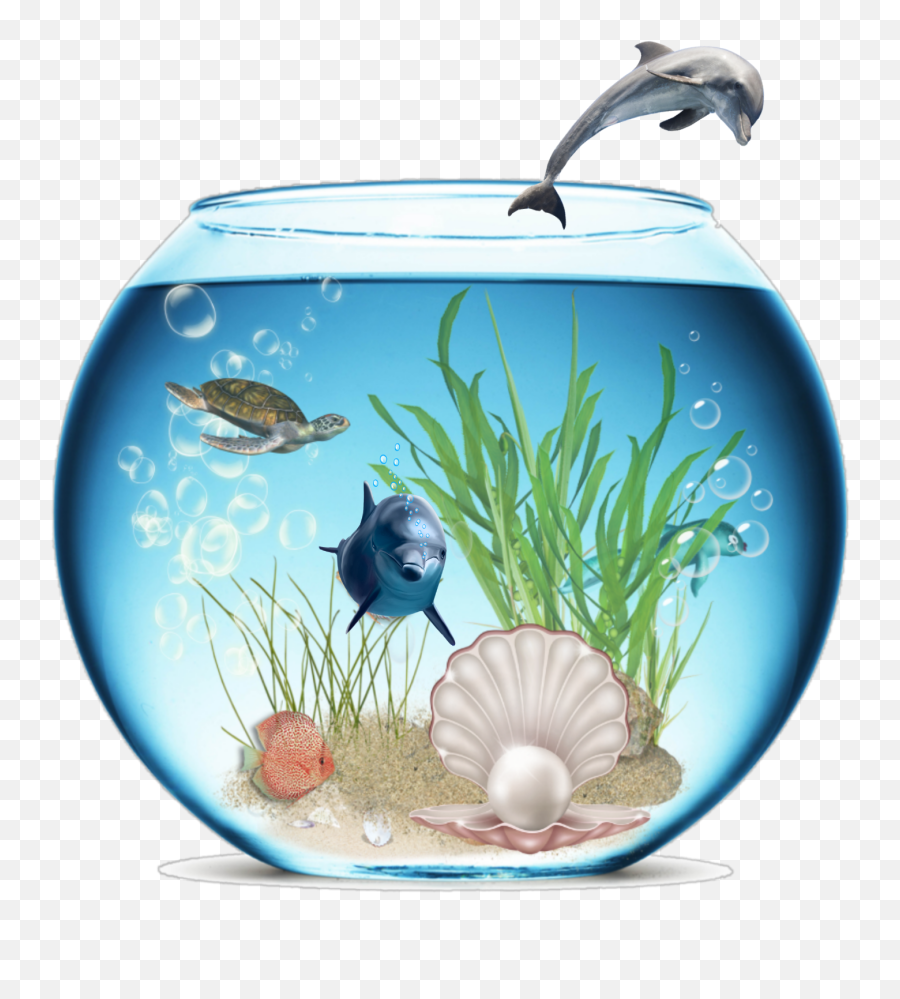 Dolphin Fishbowl Sticker Emoji,Fishbowl Emoji Transparent