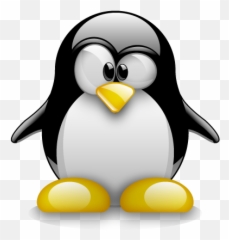 Httpsespaperblogcommitos - Sobreelsoftwarelibre653862 Tux Penguin Png Emoji,Clave Emoticon De Beso