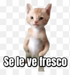 Pana Miguel Stickers For Whatsapp - Sticker Del Pana Miguel Emoji,Emojis Banderas