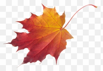 Ftestickers Autumn Fall Leaf Sticker - Autumn Leaf Png Emoji,Fall Leaf Emoji