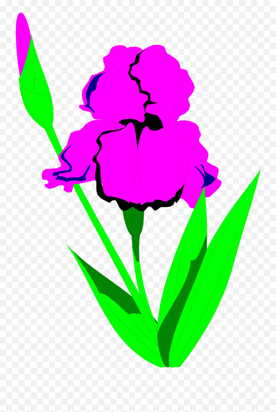 Iris Flower Clipart Vector Transparent Library Iris - Clip Emoji,Emoticon Arco Iris Facebook