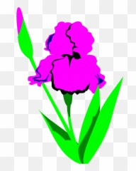 Iris Flower Clipart Vector Transparent Library Iris - Clip Emoji,Emoticon Arco Iris Facebook