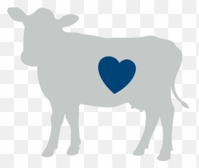 Lactose Free Full Cream Milk Brownes Dairy Sourced Fresh Emoji,Cow Milking Emoji