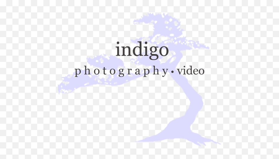 Indigo Photography U2022 Video Wedding Photographers - The Knot Fictional Character Emoji,Indigo Emotion