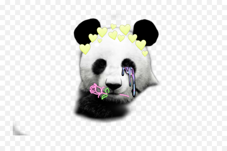 Pandalove Gül Tumblr Tumblrtaç Sticker By Fumi - Soft Emoji,Giant Emoji Plush