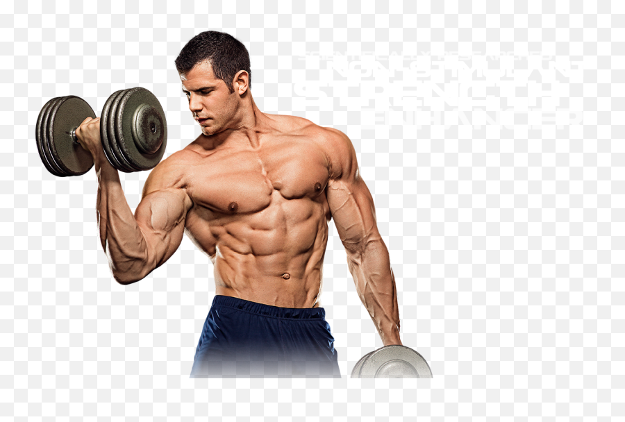 Shoulder Muscle Png File - Bodybuilding Transparent Body Muscles Png Emoji,Body Building Emoji