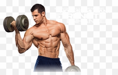 Shoulder Muscle Png File - Bodybuilding Transparent Body Muscles Png Emoji,Body Building Emoji