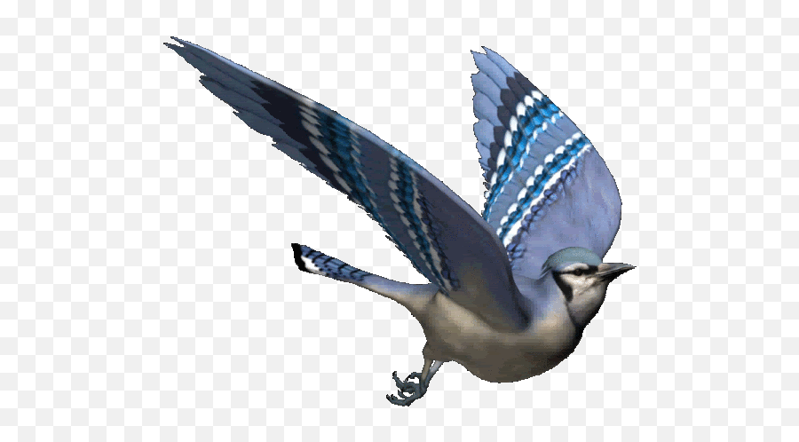 Top Beautiful Birds Stickers For Android U0026 Ios Gfycat - Bird Gif Emoji,Purple Bird Emoji