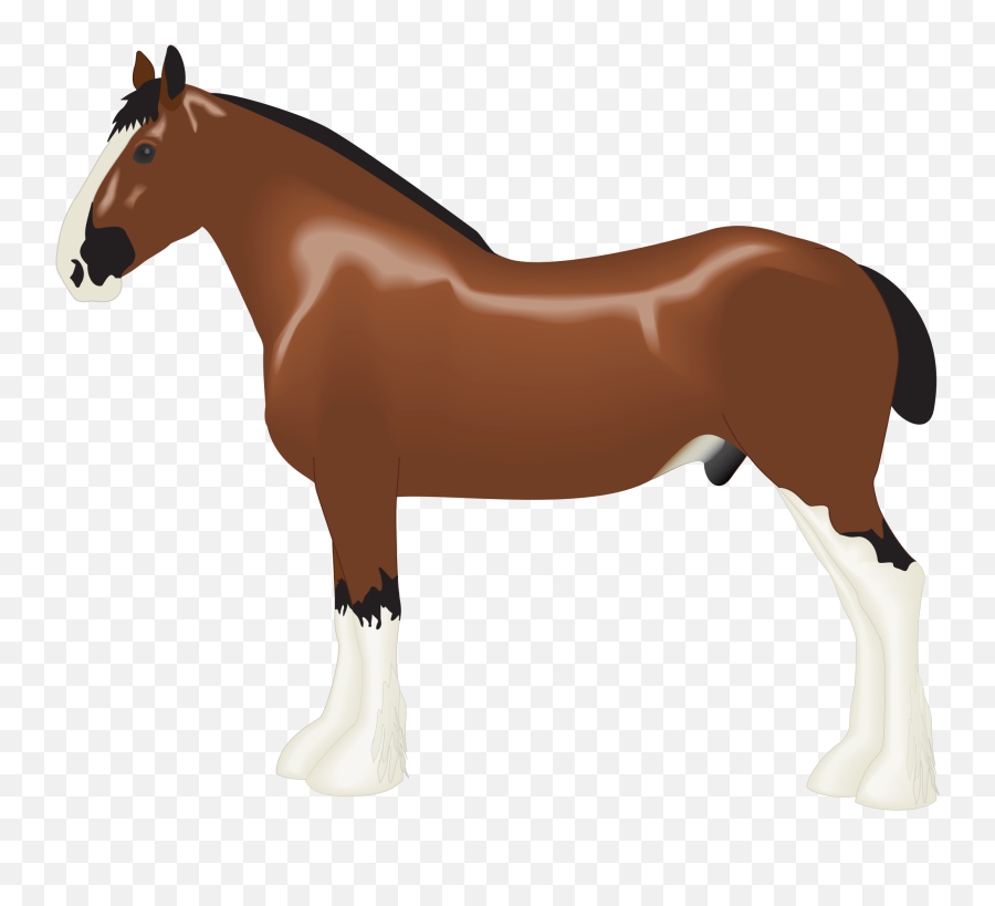 Picture Clipart Horse Picture Horse - Clydesdale Horse Clip Art Emoji,Fish Horse Emoji
