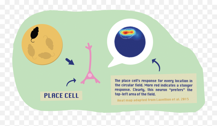 The Neurosphere - Dot Emoji,Shiutting Off Neural Activity Relating To Emotion