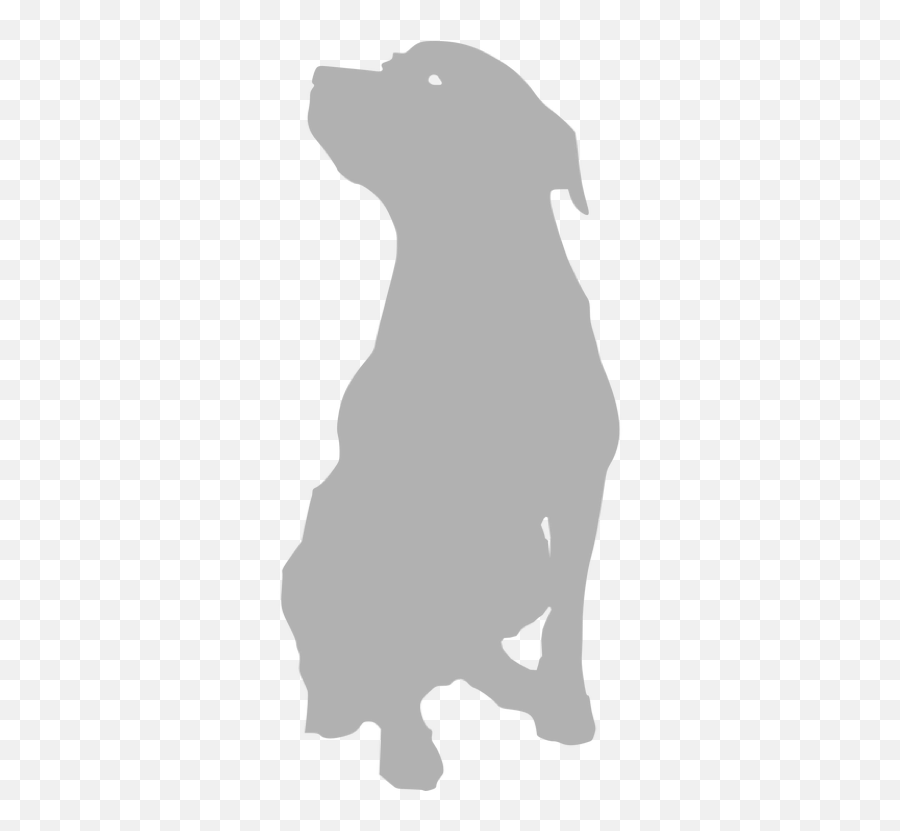 Cats - The Good Vet And Pet Guide Dog Silhouette Vector Png Emoji,Grey Tabby Emojis