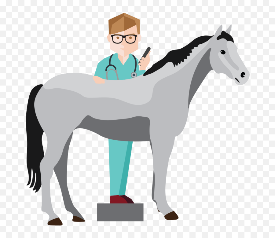 Veterinarian Clipart - Free Cliparts U0026 Png Veterinarian Horse Vet Png Emoji,Emoji Horse And Plane
