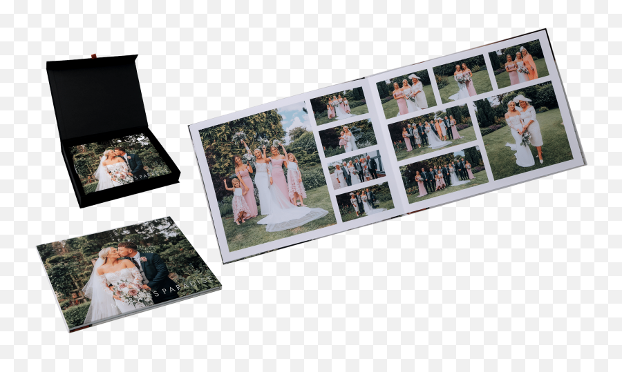 Professional Wedding Photography Nicole Amy Visuals Emoji,Emotions Of The Accordion