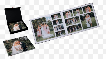 Professional Wedding Photography Nicole Amy Visuals Emoji,Emotions Of The Accordion
