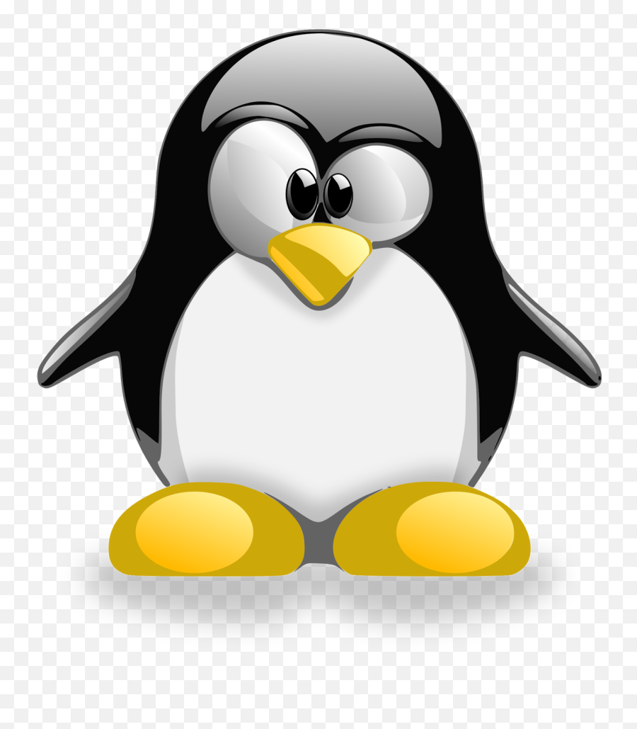 Conhecimento É Liberdade - Blog Do Hildo 2011 Transparent Linux Penguin Emoji,Olhardigital Emoticons