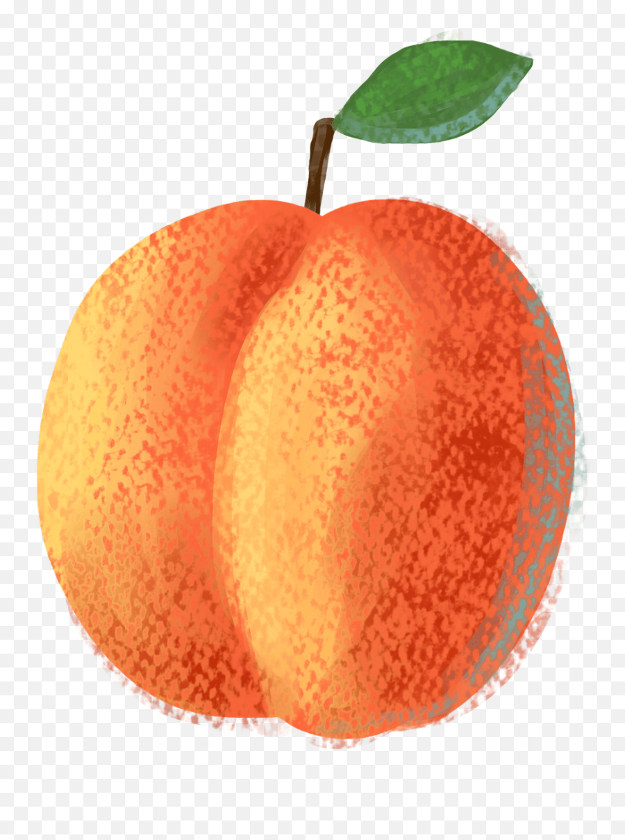 Peaches Png Image Peach Fruit Food Background - Saypng Blood Orange Emoji,Peach Emoji Transparent Background