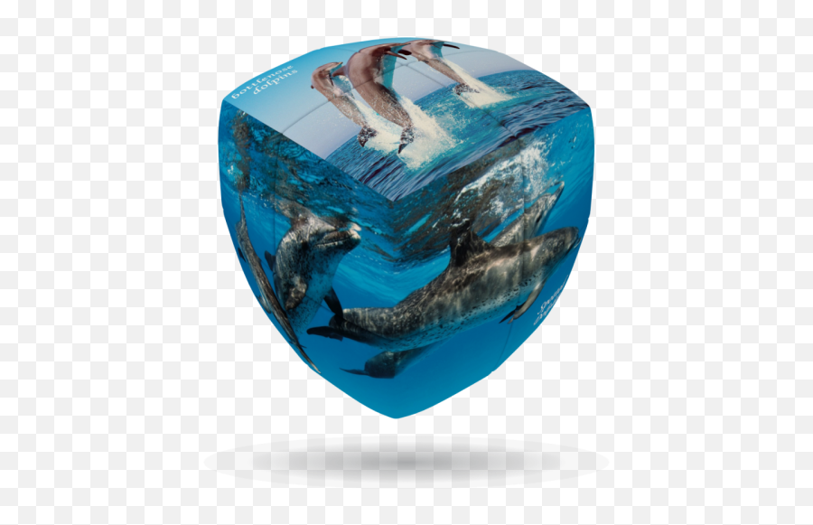 Wildlife U0026 Nature - Vcube Wholesale Distributor Orbet V Cube Emoji,Dolphins And Emotions